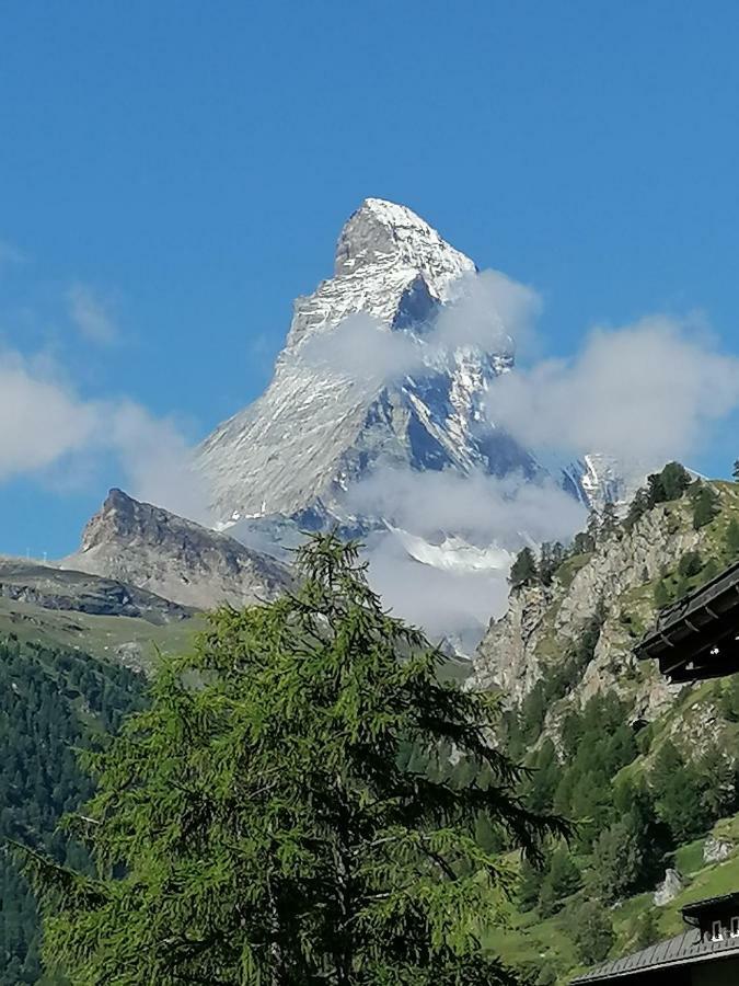 Petit Helvetia Budget होटल 2*